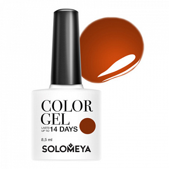 Solomeya Color Gel Spicy cinnamon 117